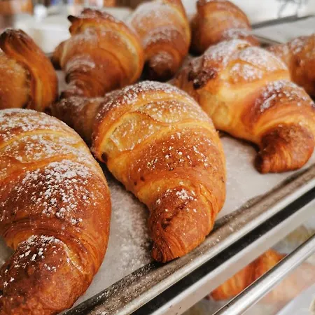 Paradise * كابو فاتيكانو