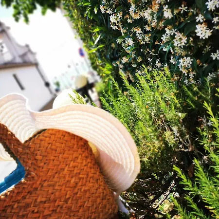 Paradise * Capo Vaticano