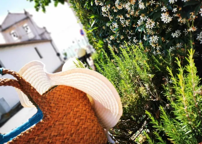 Paradise * Capo Vaticano