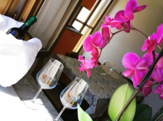 Paradise קאפו ואטיצ'אנו